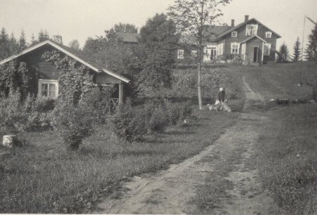 Kurkim�ki sis��ntulosta n�htyn�